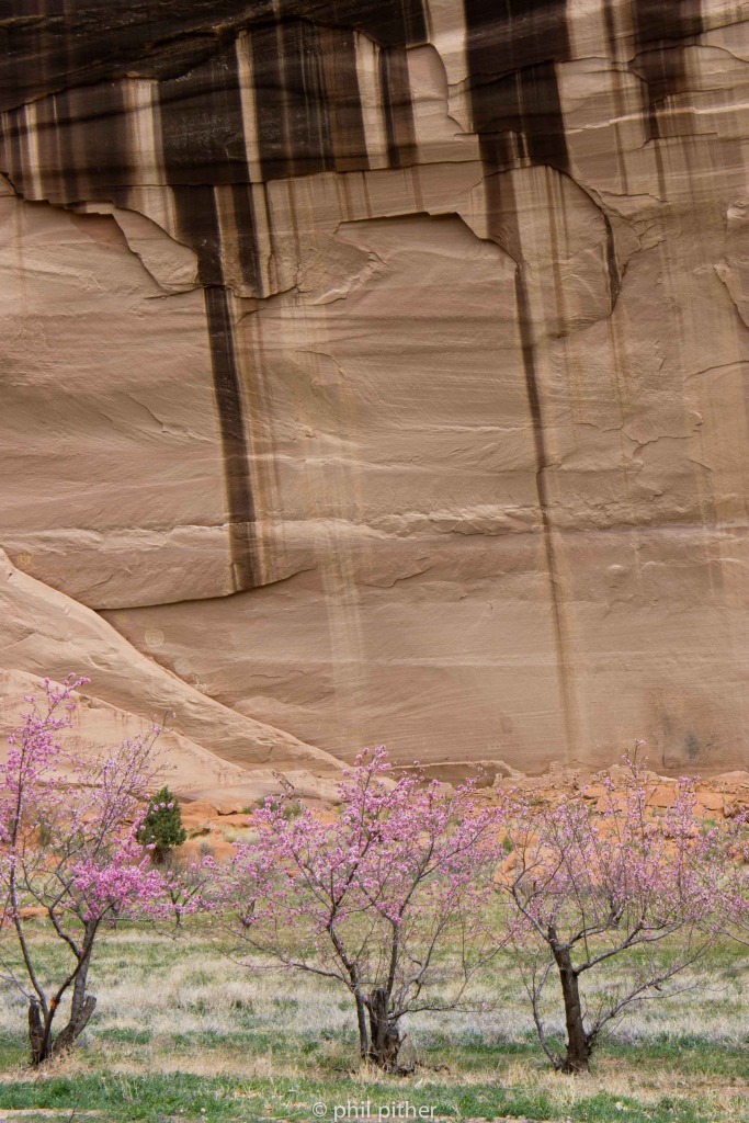 Canyon De Chelly Canyon Floor