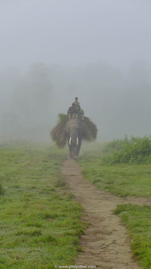 Chitwan