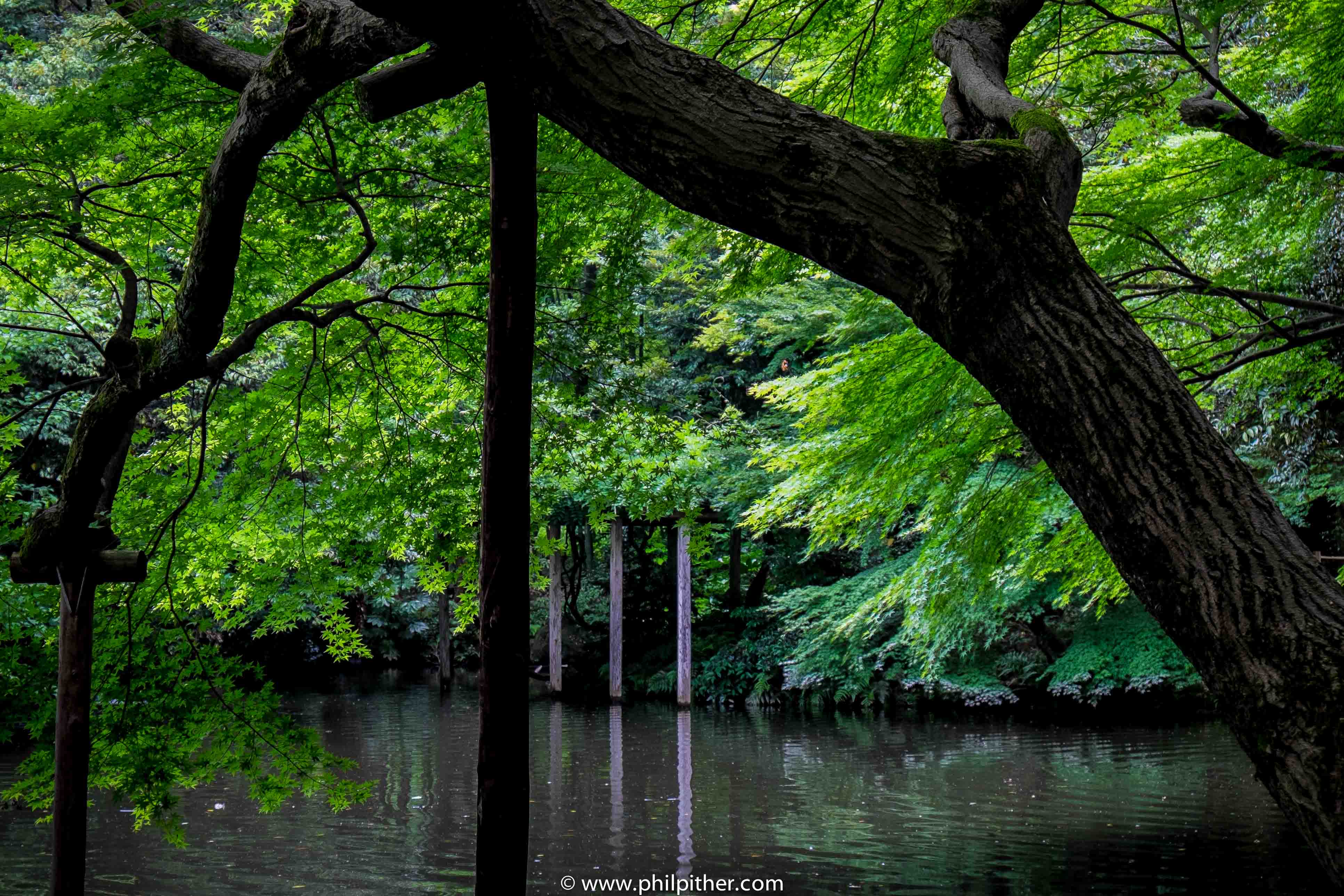 Near D T Suzuki Museum, Kanazawa