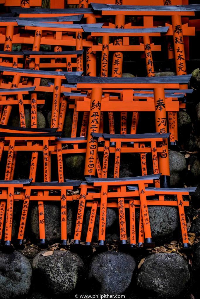 Small Torii, Kyoto