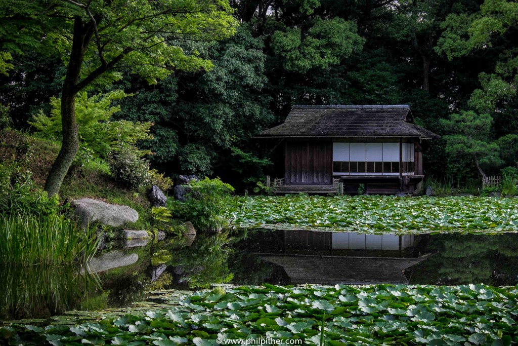 Garden, Kyoto