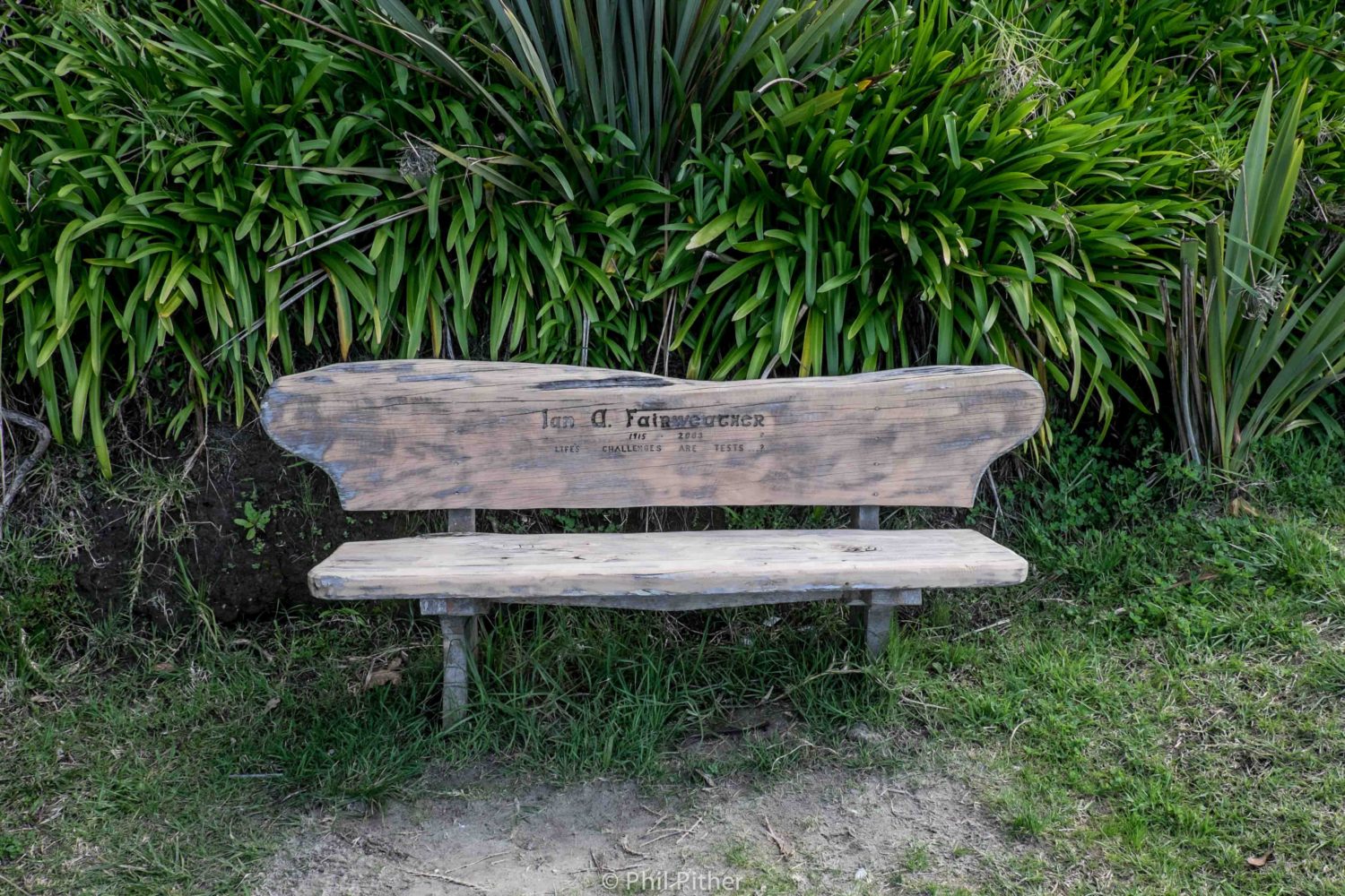 Ian, I hope you got good grades on those tests - RIP - Oneroa Beach, Waiheke, New Zealand