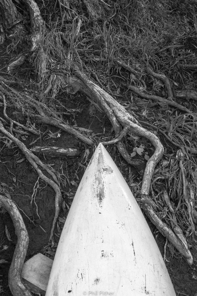 Oneroa Beach, Waiheke, New Zealand