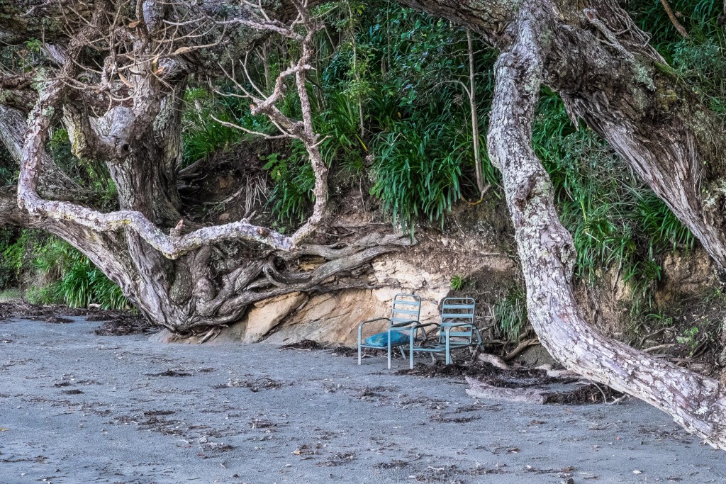 'Our summer spot' Oneroa Beach, Waiheke, New Zealand