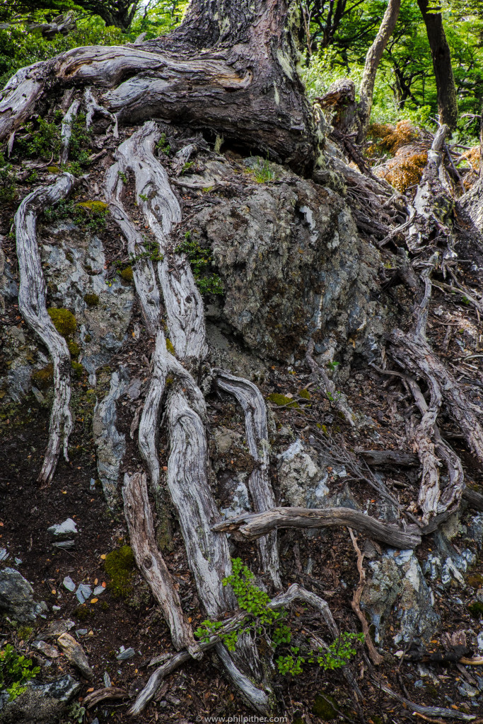 Parque Nacional Tierra Del Fuego