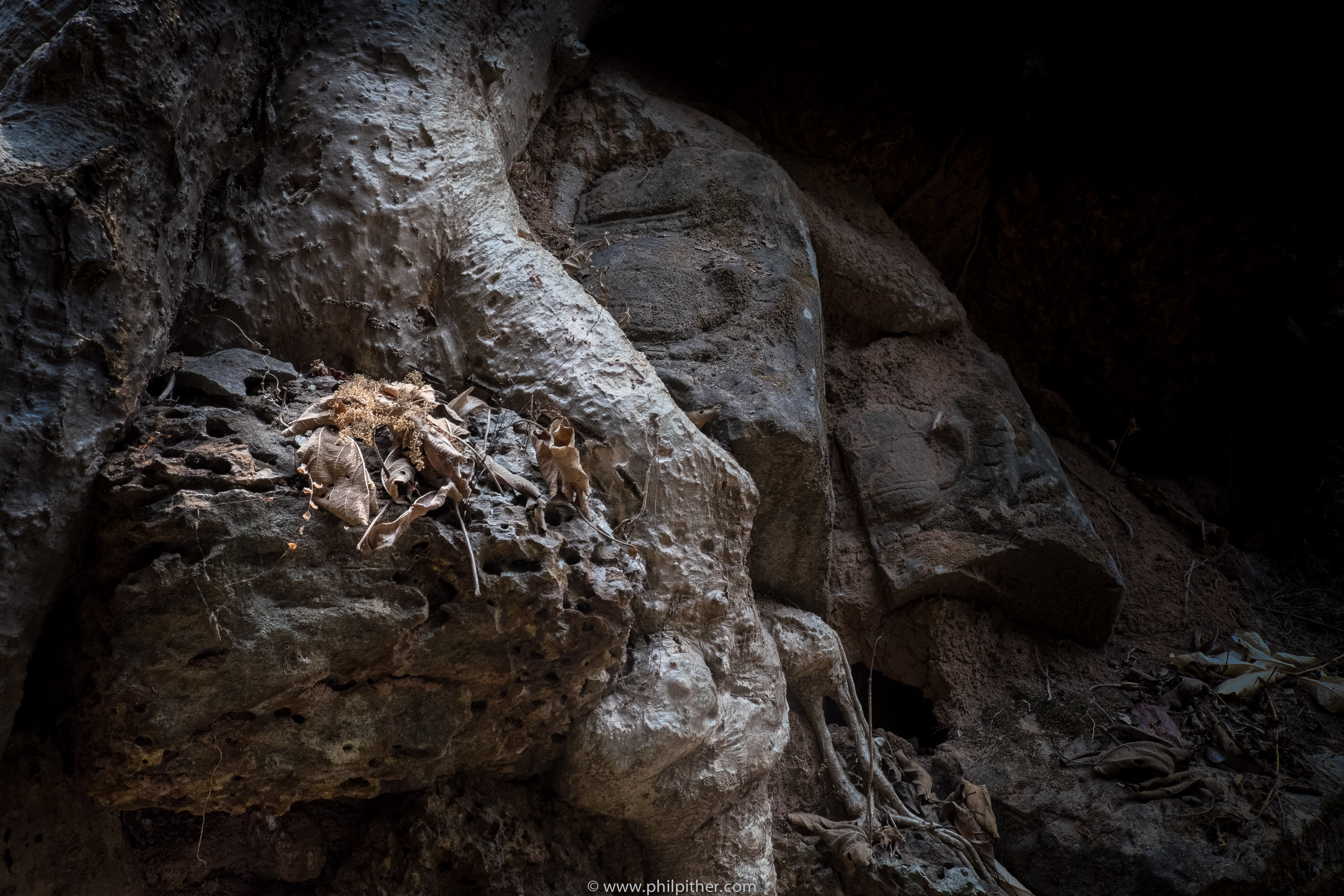 Cambodia, Preah Kahn